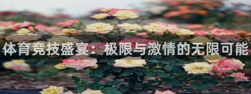 公海赌赌船官方集团官网：体育竞技盛宴：极限与激情的无