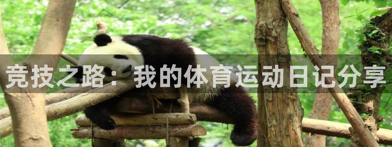 公海赌赌船官网下载平台注册要钱吗安全吗：竞技之路：我