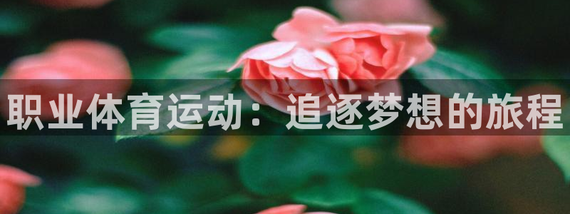 公海赌赌船官网下载招商电话号码查询是多少：职业体育运