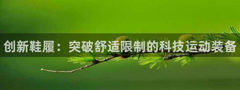 公海赌赌船官网下载软件：创新鞋履：突破舒适限制的科技