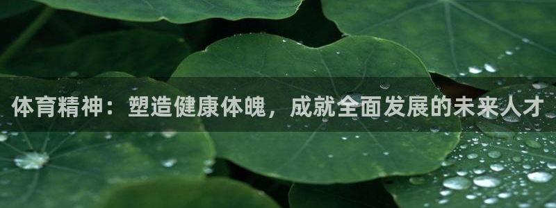 公海赌赌船官网下载：体育精神：塑造健康体魄，成就全面